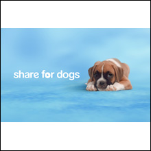 Share For Dogs