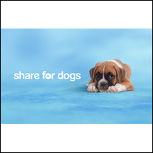 Pedigree-Adoption-Drive