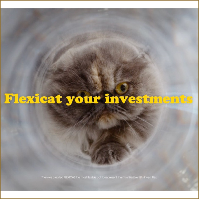 Flexi Cat Flexi Cat