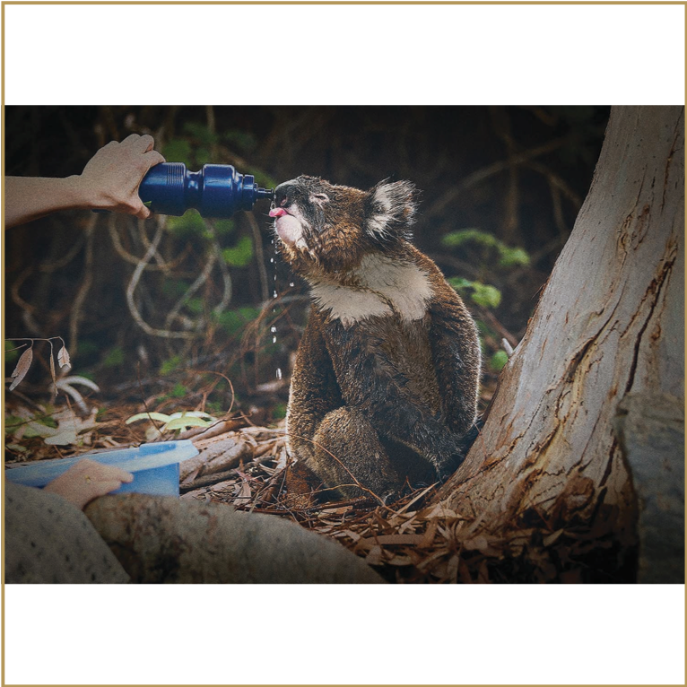 NRMA Insurance- Help is who we are