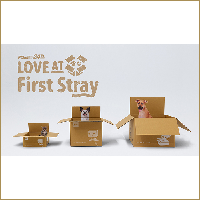 Love At First Stray Love At First Stray