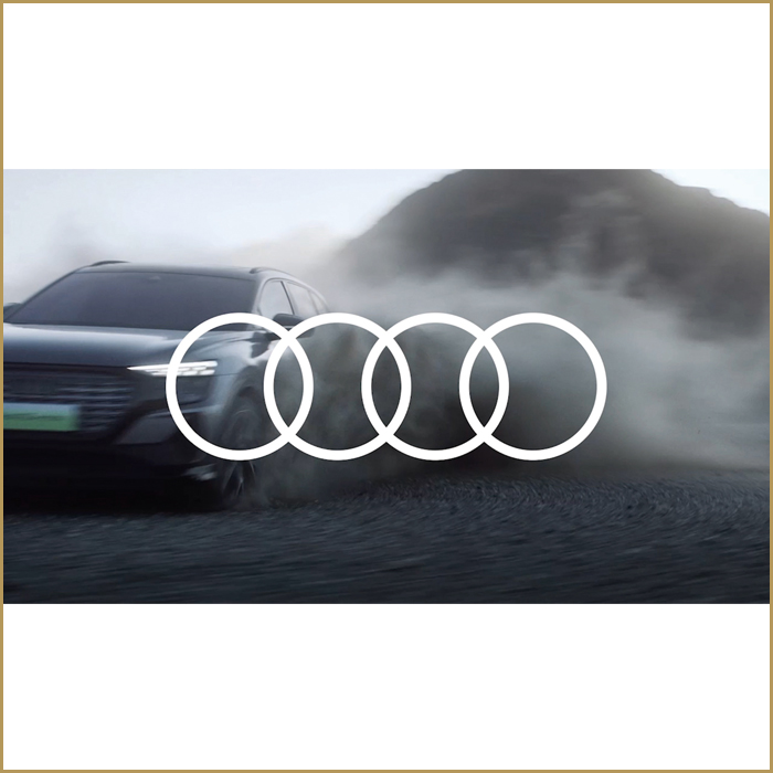 Q5 e-tron Q5 e-tron